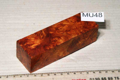 mu48-amboina