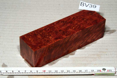 bv39-ahorn