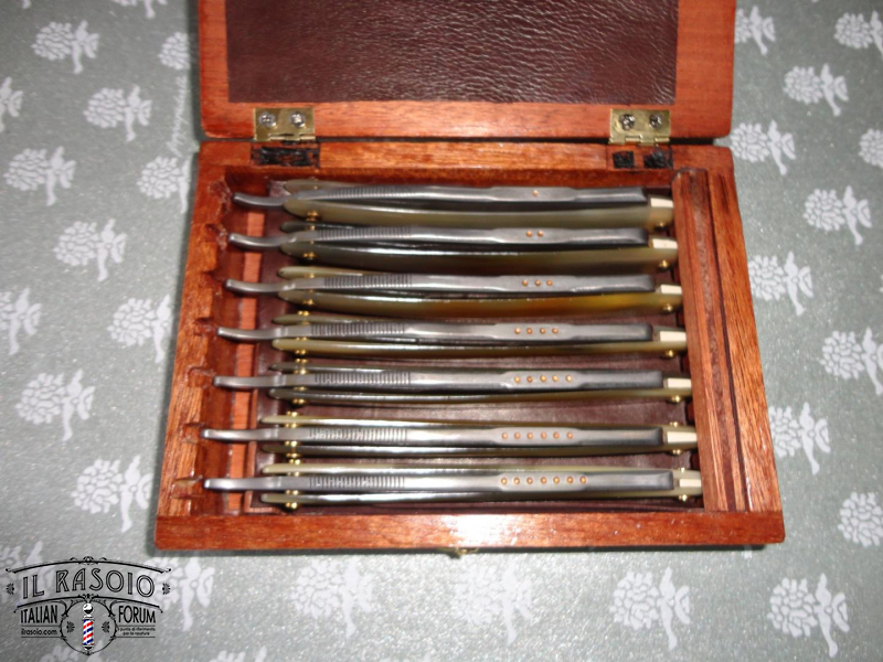 Medusa W&B tutti