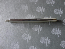 Kropp dorso
