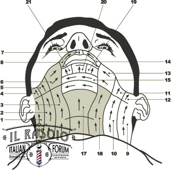 Help Files Shavediag2