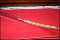 Filarmonica 14 Doble Temple