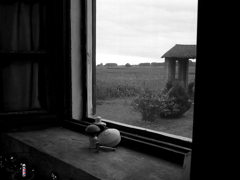 Copia di P1020084