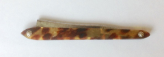 ecaille 01