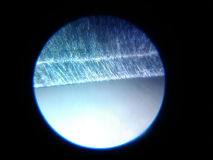 IMG 20130204 163015