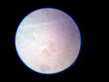 IMG 20130204 163207