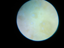 IMG 20130204 163417