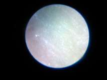 IMG 20130204 163616