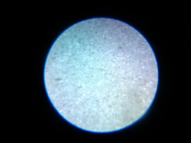 IMG 20130204 163707