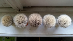 IMG-20150408-WA0046
