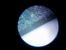 IMG 20130204 194856