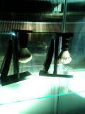 IMG 20150517 180627