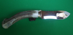 Skinner dx