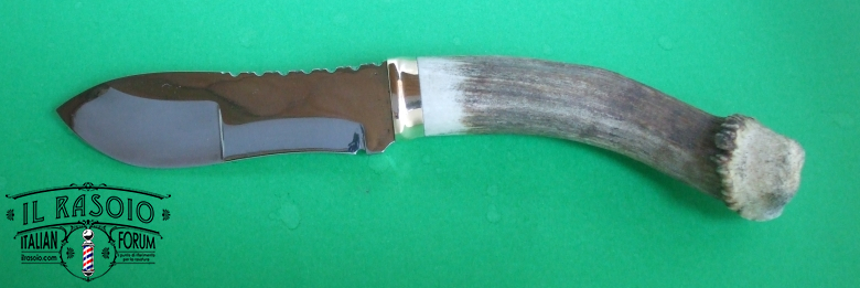 Skinner sx
