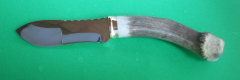 Skinner sx