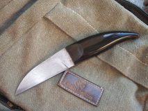 Camaleonte