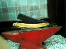 IMG 20150613 162436