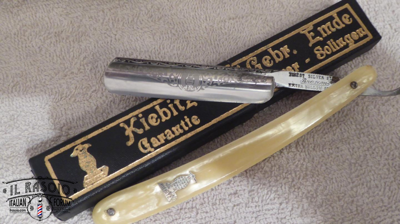Kiebitz