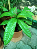 IMG 20150627 150535