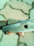IMG 20150704 165759