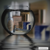 SOTD 20151013
