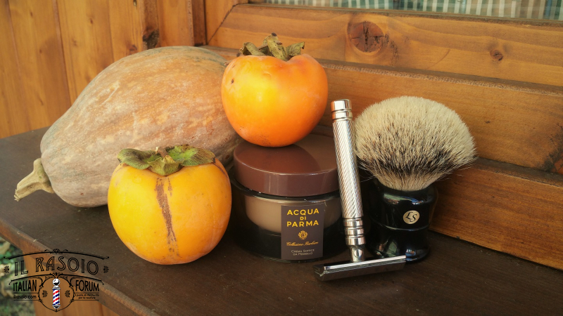 SOTD 20151109