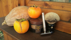 SOTD 20151109