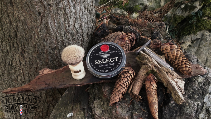 SOTD 20151115