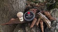SOTD 20151115