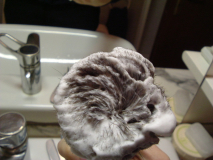 11-dscf0278h