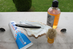 hoeg78 - shave of the day 12
