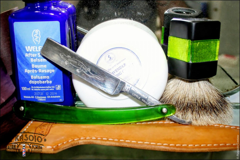 SOTD20151121 Ramarro