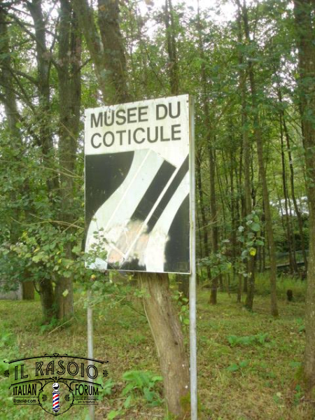 DSC06951