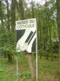 DSC06951