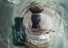 SOTD 20151203