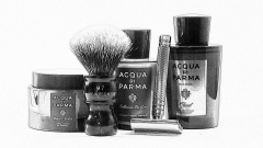 SOTD 20151211