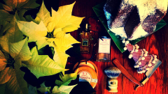 IMG-20151213-WA0011
