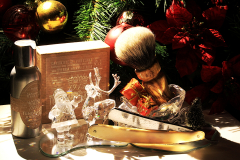 SOTD 20151226 barba64