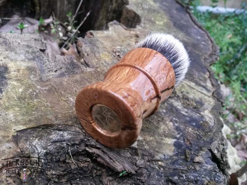 Quercia 2 spalted