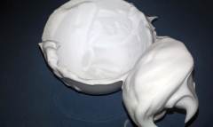 sapone montato 1