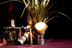 SOTD-1.03