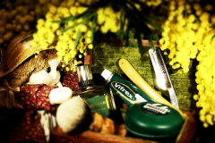 SOTD 20160307 barba64