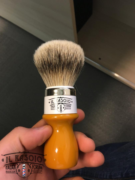 IMG 2550