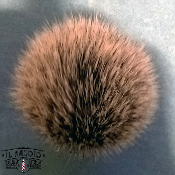 silvertip1