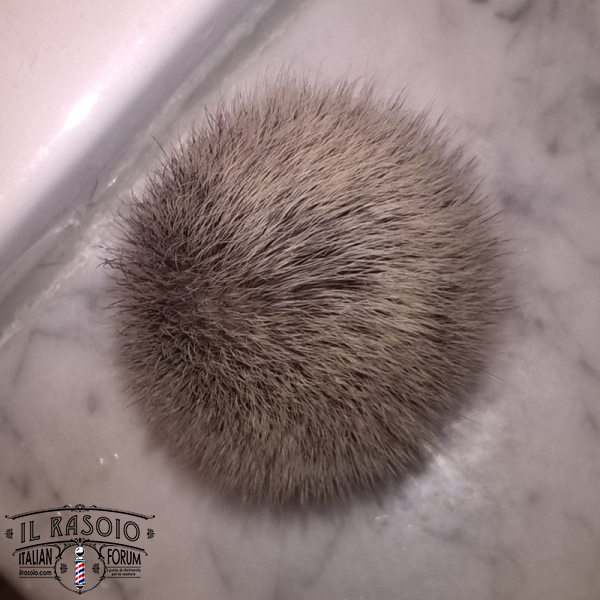 silvertip2