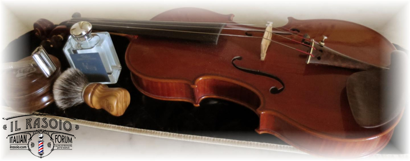 violin life