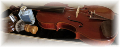 violin life