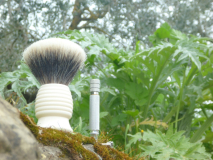 sotd 26.3.16