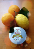 barberia2fructi