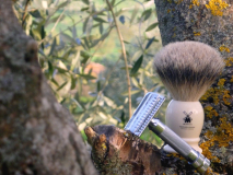 sotd 4.4.2016